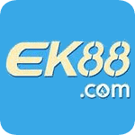 1xbet how to bet in india